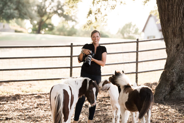 6 Figure Saddle up Spotlight: Success Tips From an Equine Portrait Photographer