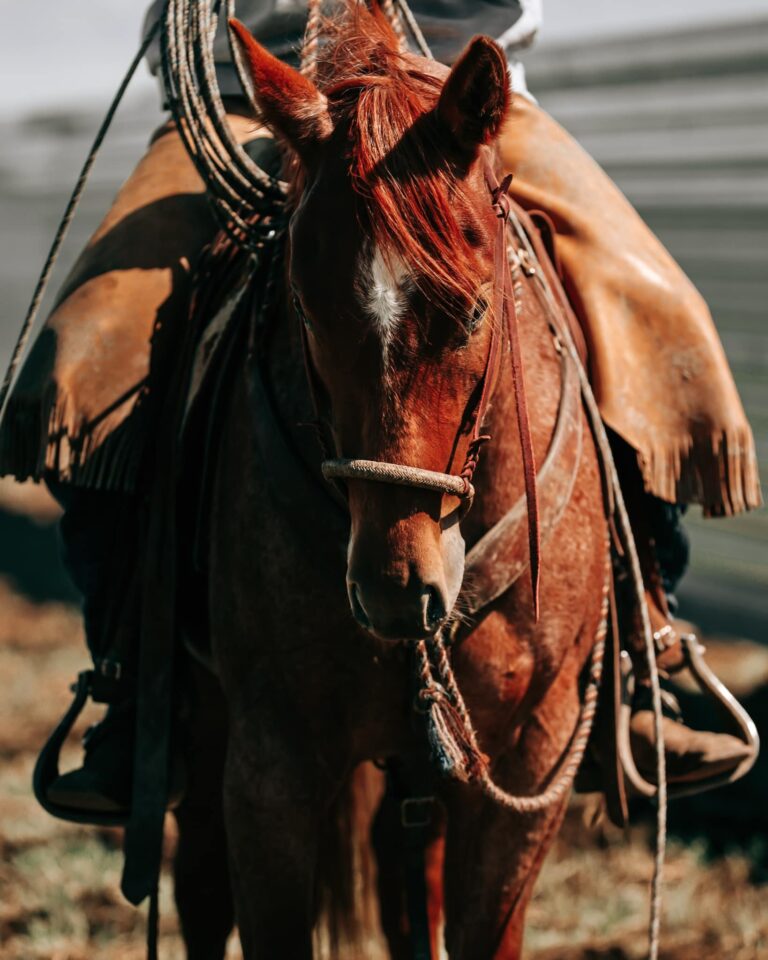 Ashley Oswalt Photography6 768x960