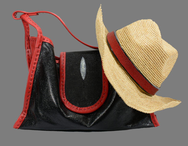 Bag n Hat NEW 768x598