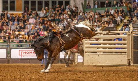 Fort Worth Stockyards2