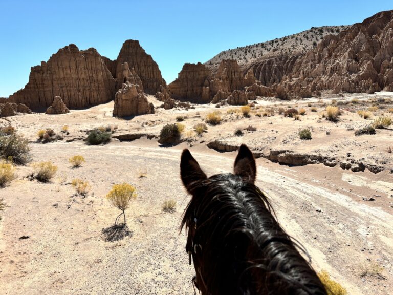 Nevada Horse Trails6 768x576