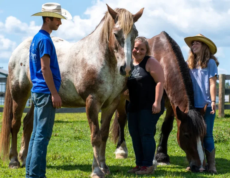 Take Heart Counseling Equine5 768x593