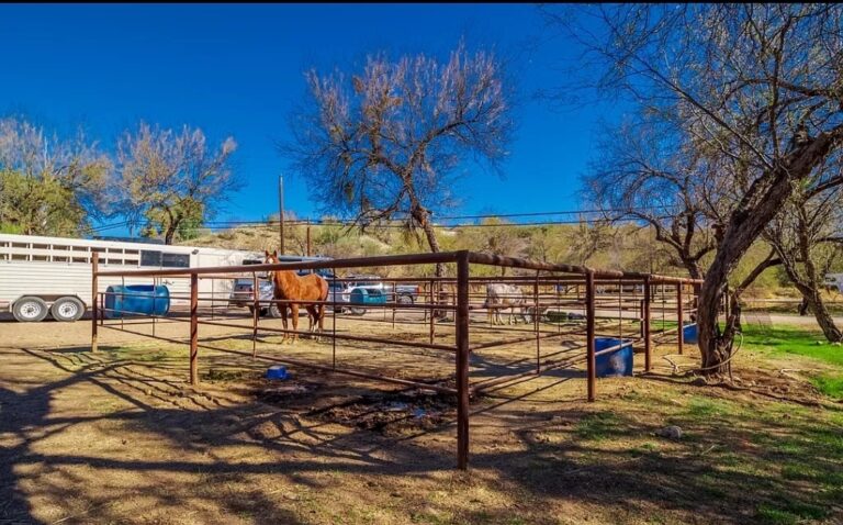 lady lottie roping camp wickenburg az 7 768x478