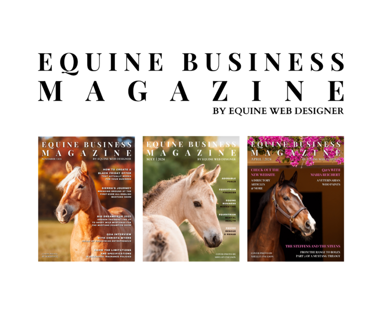 Equine Business Magazine Ad 768x644