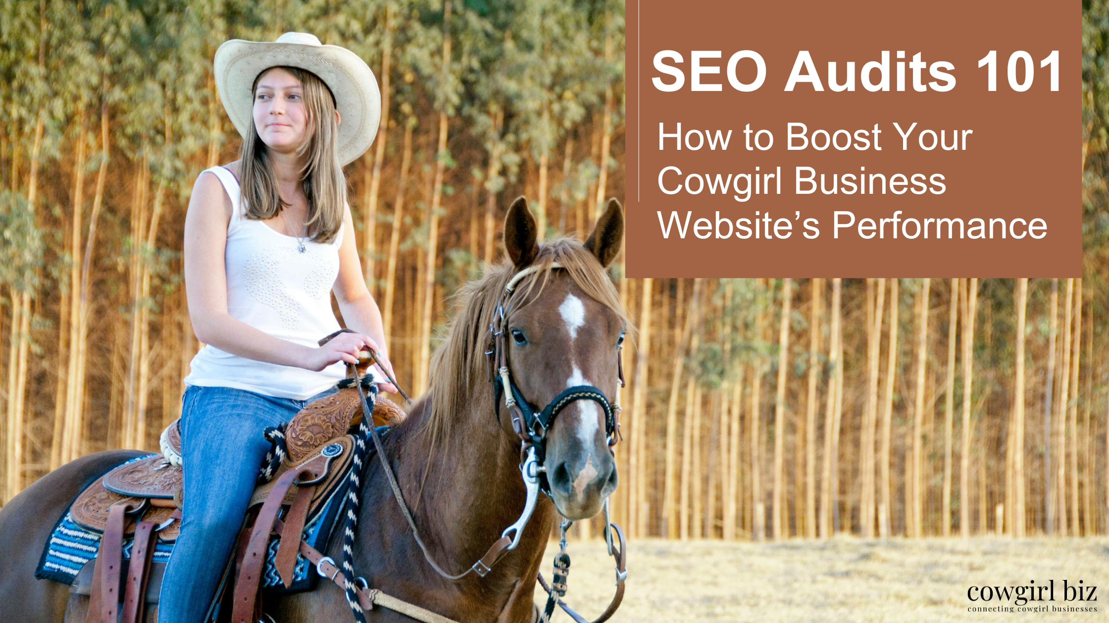 SEO Audits 101: How to Boost Your Cowgirl Business Website’s Performance