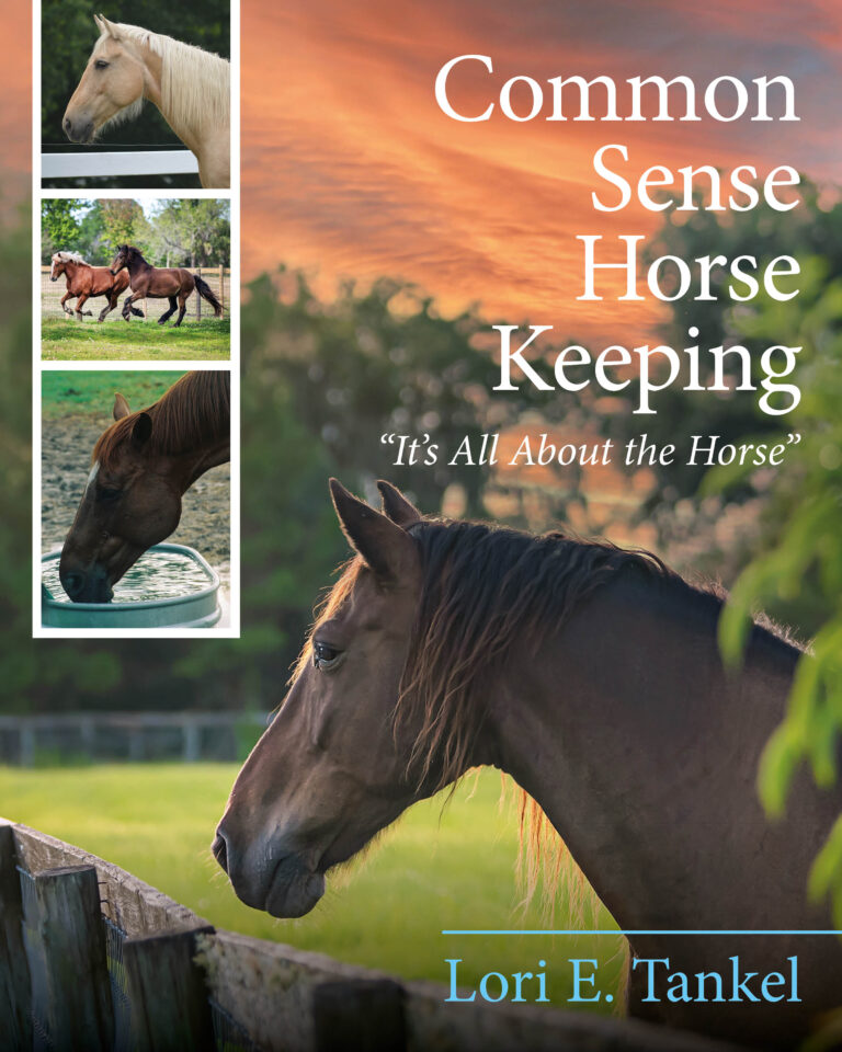 AACommon Sense Horse Keeping Cover 768x960