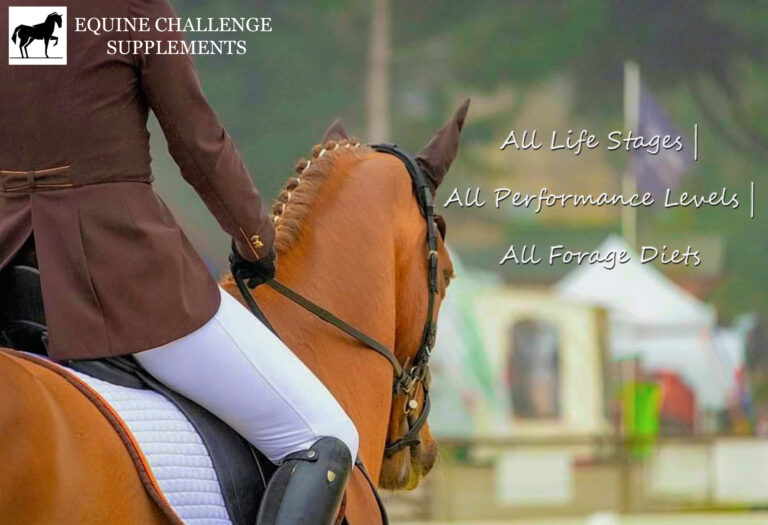 Equine Challenge Supplements2 768x525