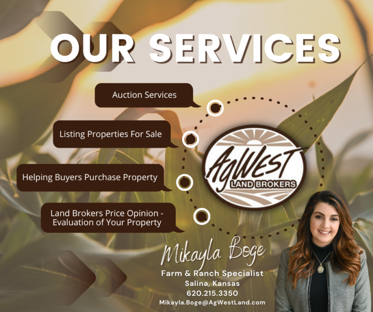 Mikayla Our Services 768x644