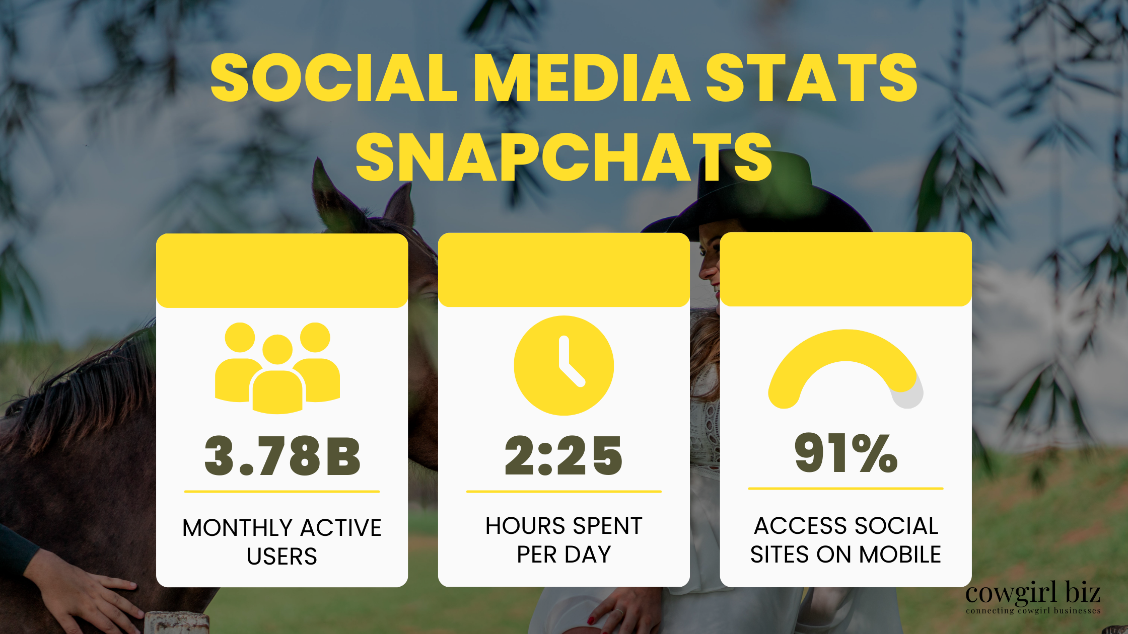 Social Media STATS SNAPCHATS