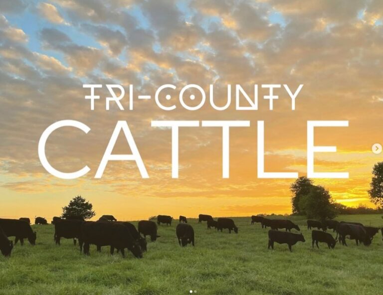 Tri County Cattle4 768x592