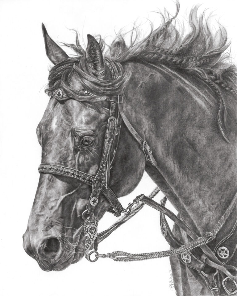 Bridle and Braids